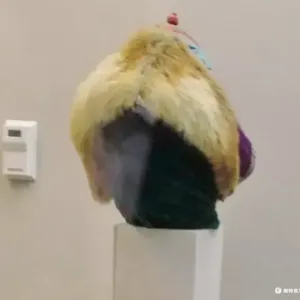 栖鹰冠-Gugu hat